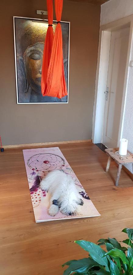 Kleines Haeuschen Im Gruenen Villa Monheim  Exteriör bild